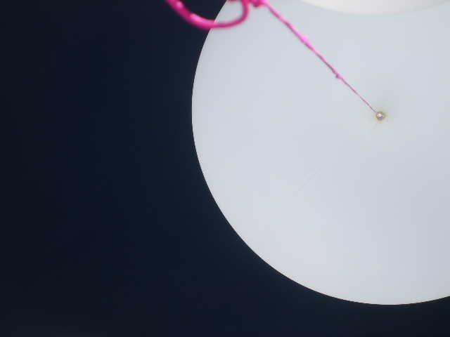 Balloon Pictures.