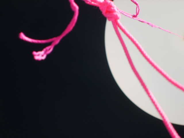 Balloon Pictures.