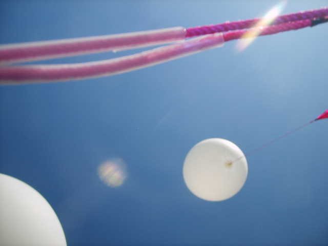 Balloon Pictures.