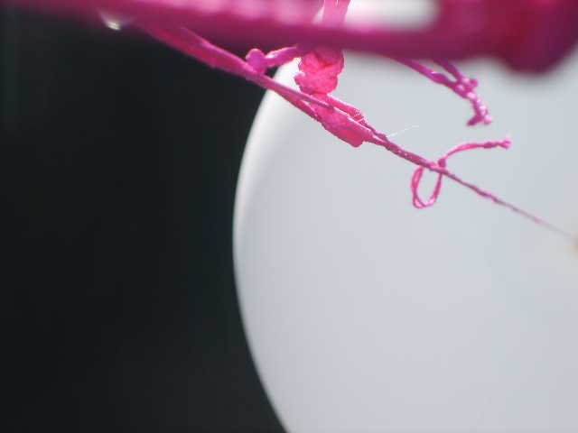 Balloon Pictures.