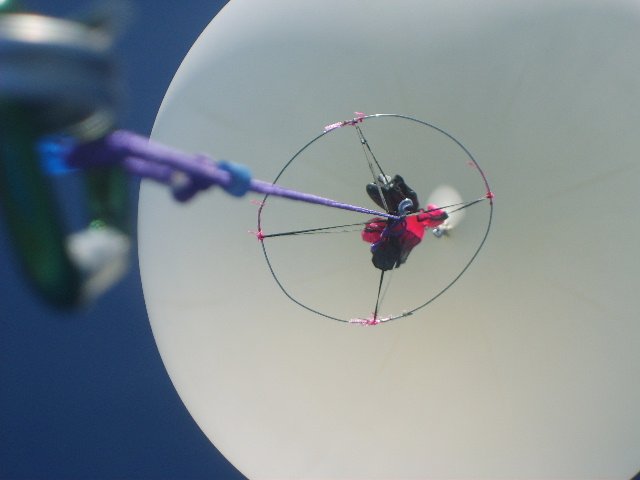 Balloon Pictures.