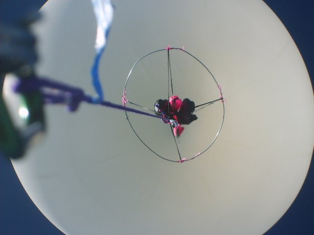 Balloon Pictures.