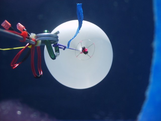 Balloon Pictures.