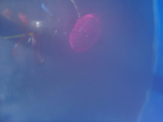 Balloon Pictures.
