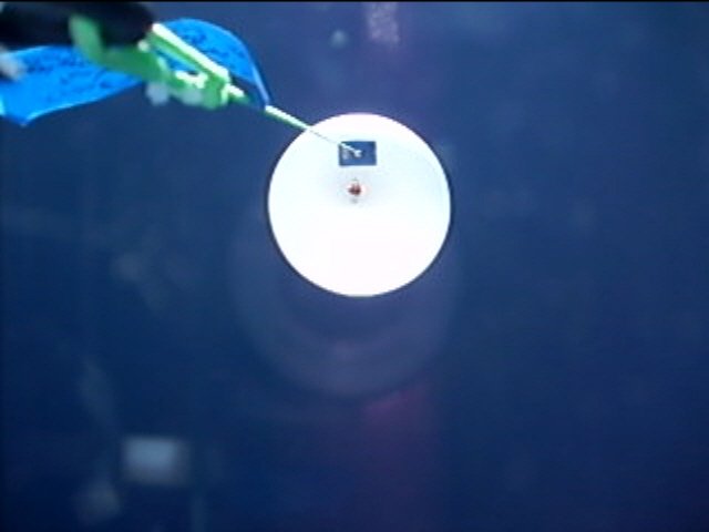 Balloon Pictures.
