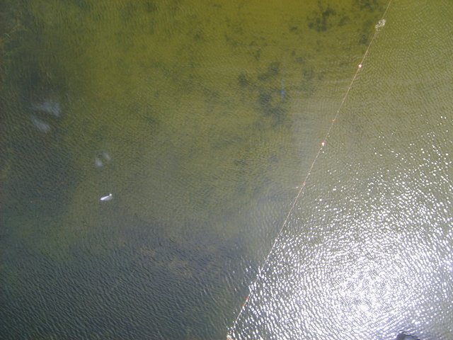 Sumerset Beach Pictures.