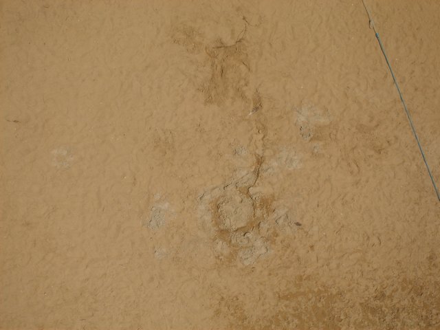 Sumerset Beach Pictures.